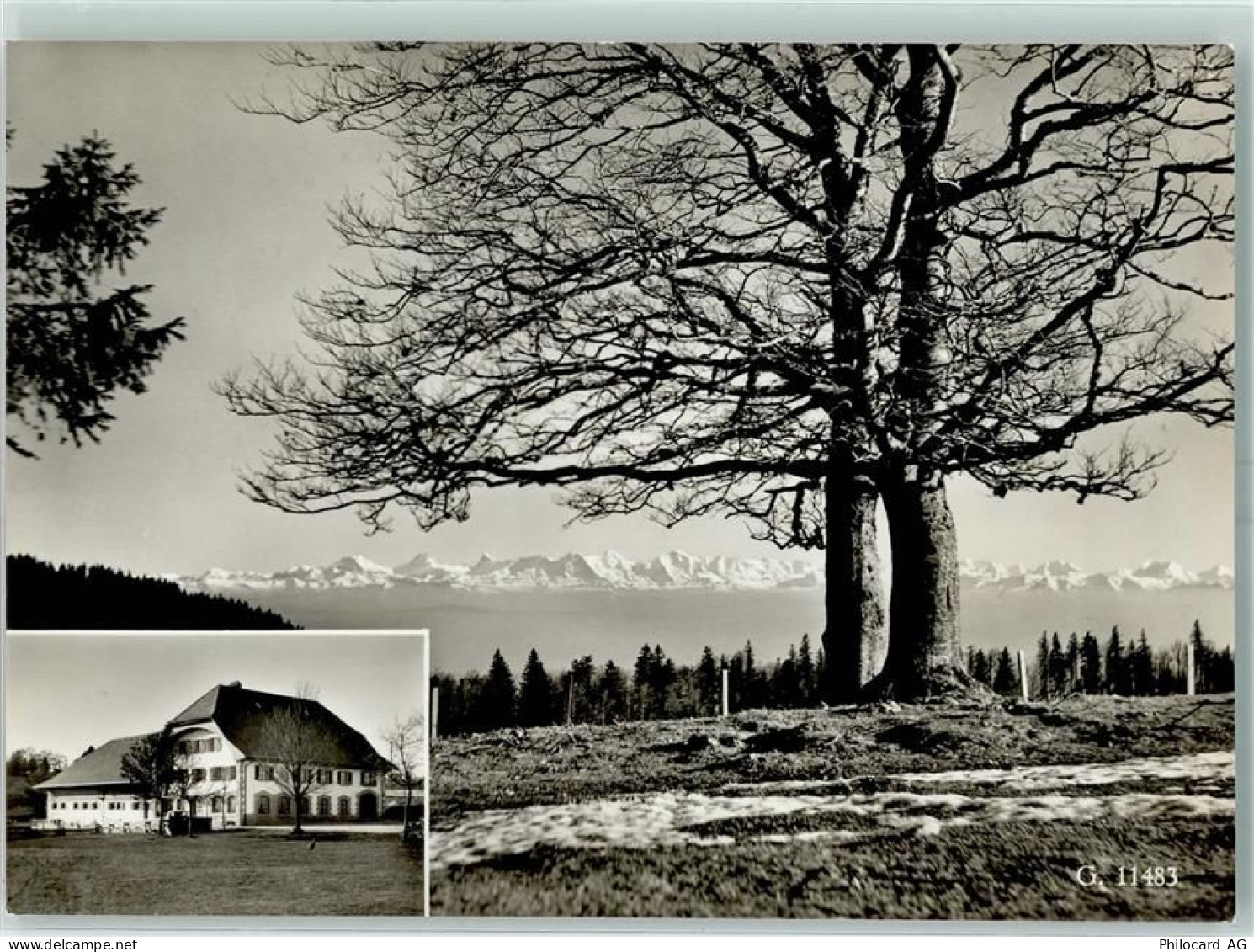 2738 Court Moron Court Gebrauchsspuren Hotel Harzer - 10397819