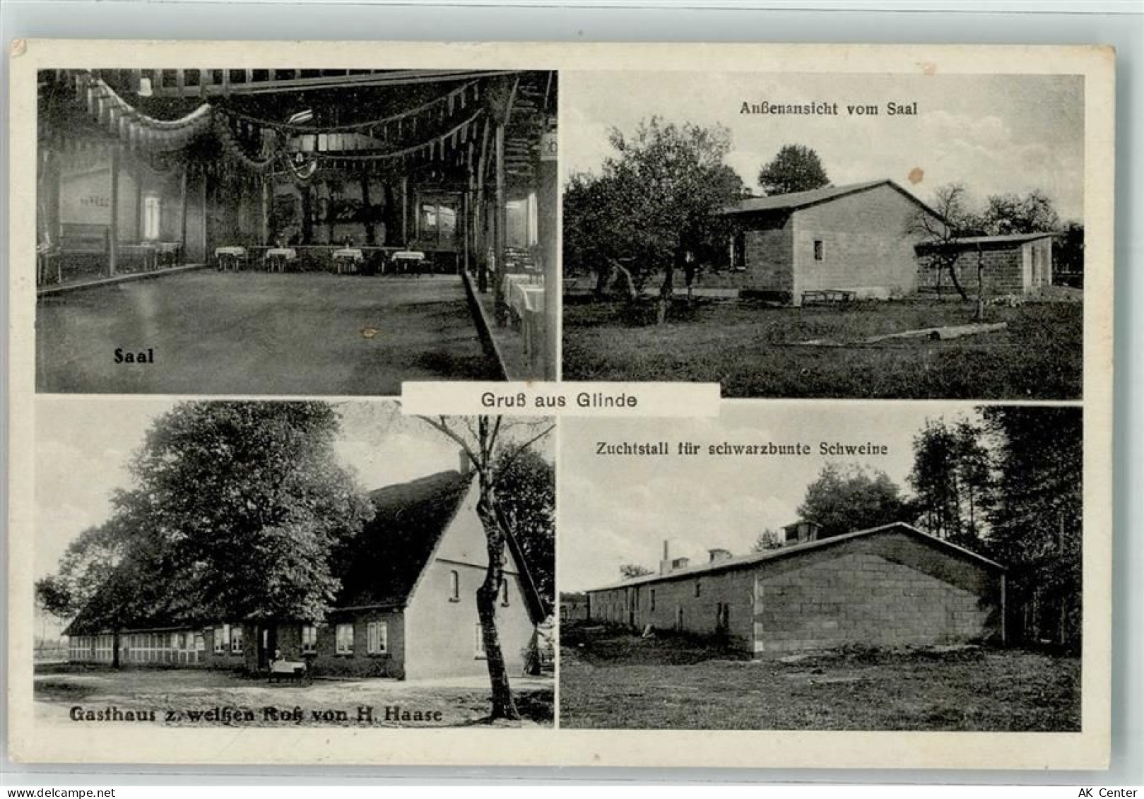 27432 W2740 Glinde Privatfoto AK Gasthaus zum weißen Roß Saal Zuchtstall... - 13629883