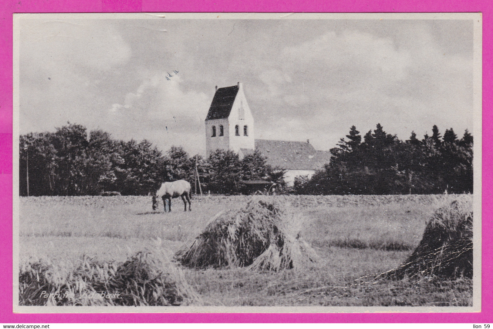 275263 / Denmark Videbaek - Parti fra horse House  ,  Town in Jutland Danemark Danemark Danimarca