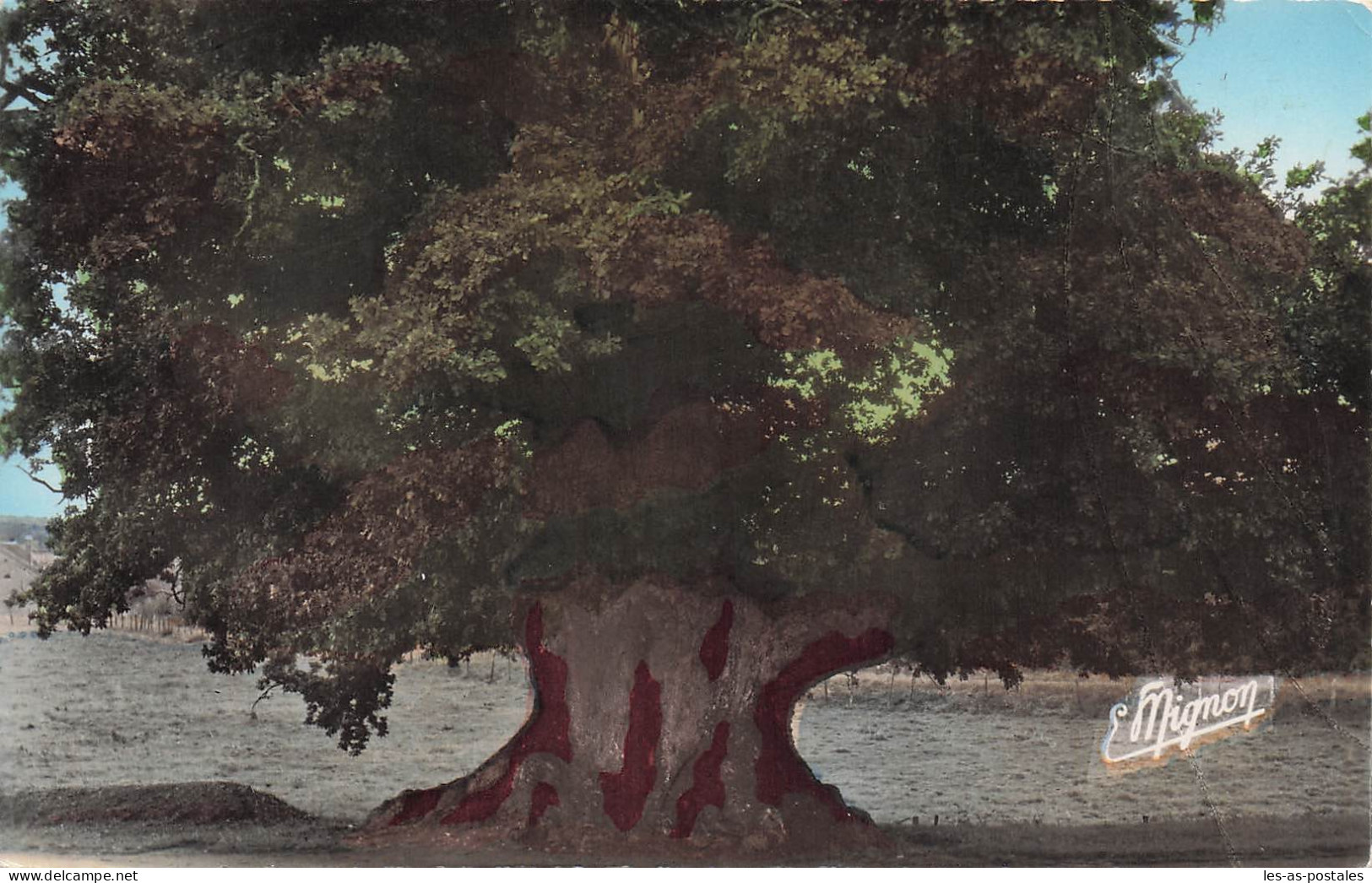 28 LA LOUPE CHENE DE LA LOUPE