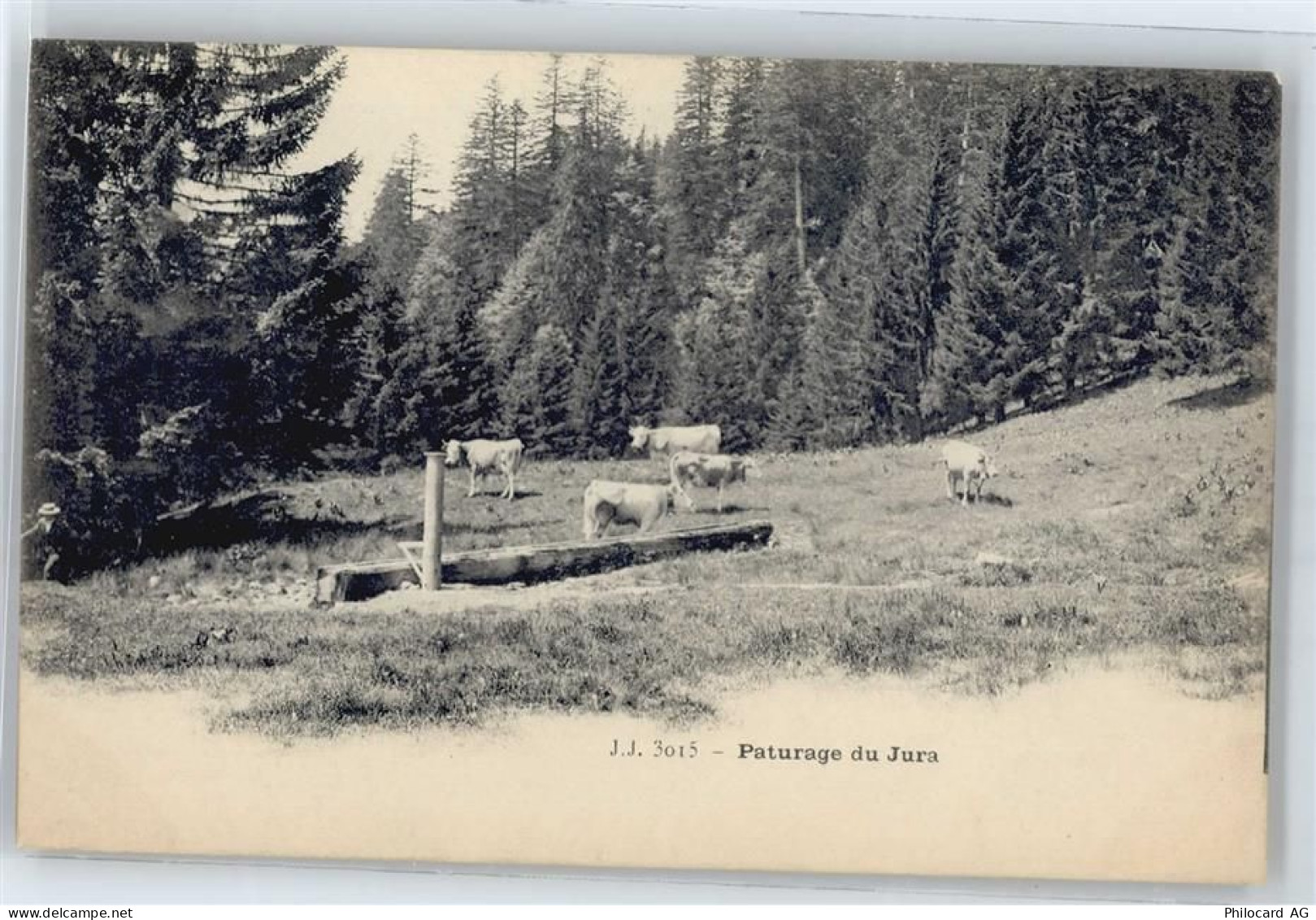 2800 Delémont Delsberg - AKU2 - 50663698