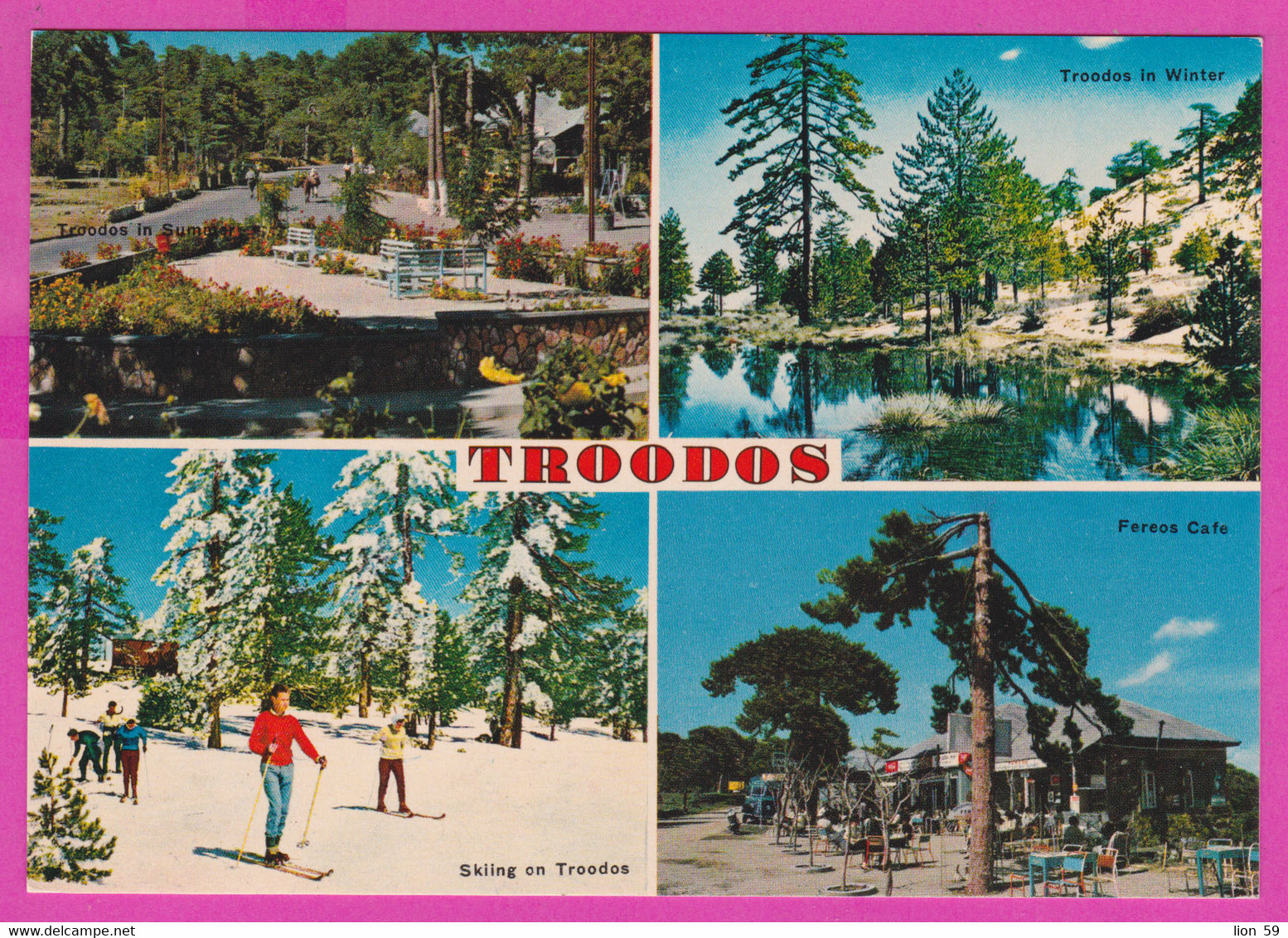 281338 / Cyprus - Troodos Mountains - Sport Skiing Ski Sci Skifahren Fereos Cafe Winter Summer PC Nicosia Chypre Zypern
