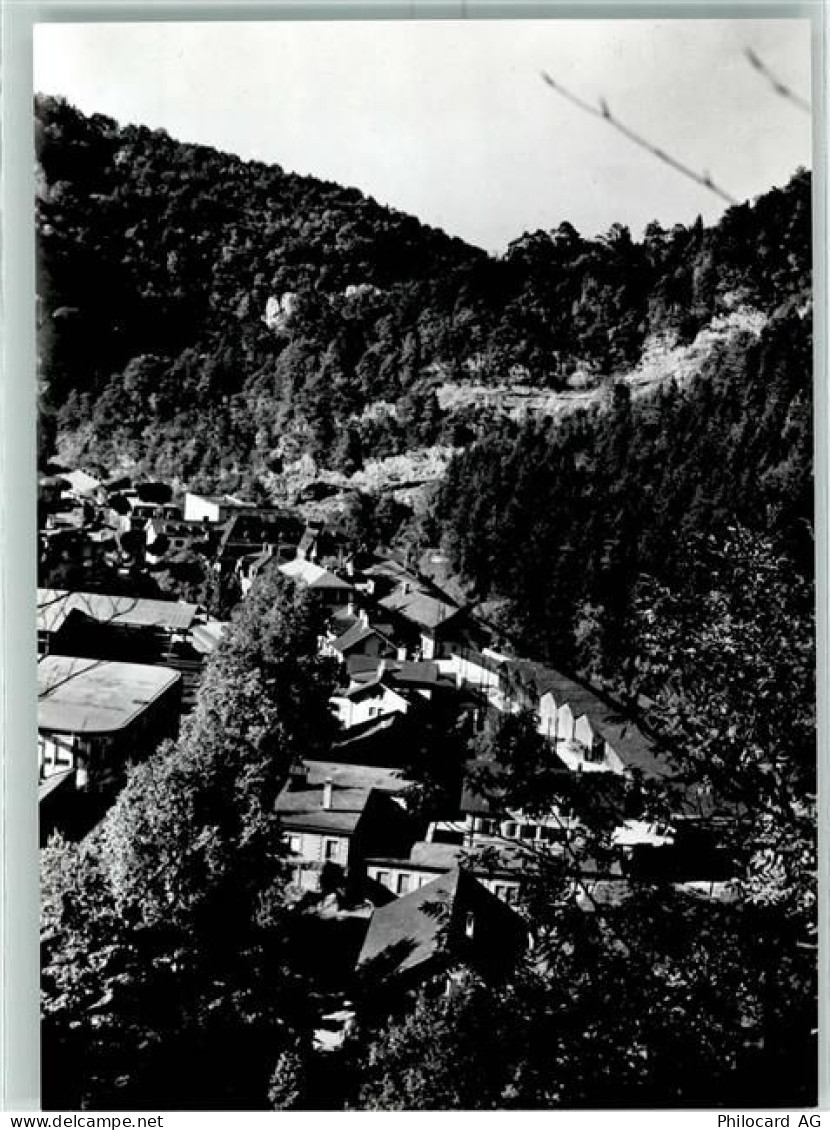 2830 Choindez Courrendlin - Schindelholz Alimentation - 13149008