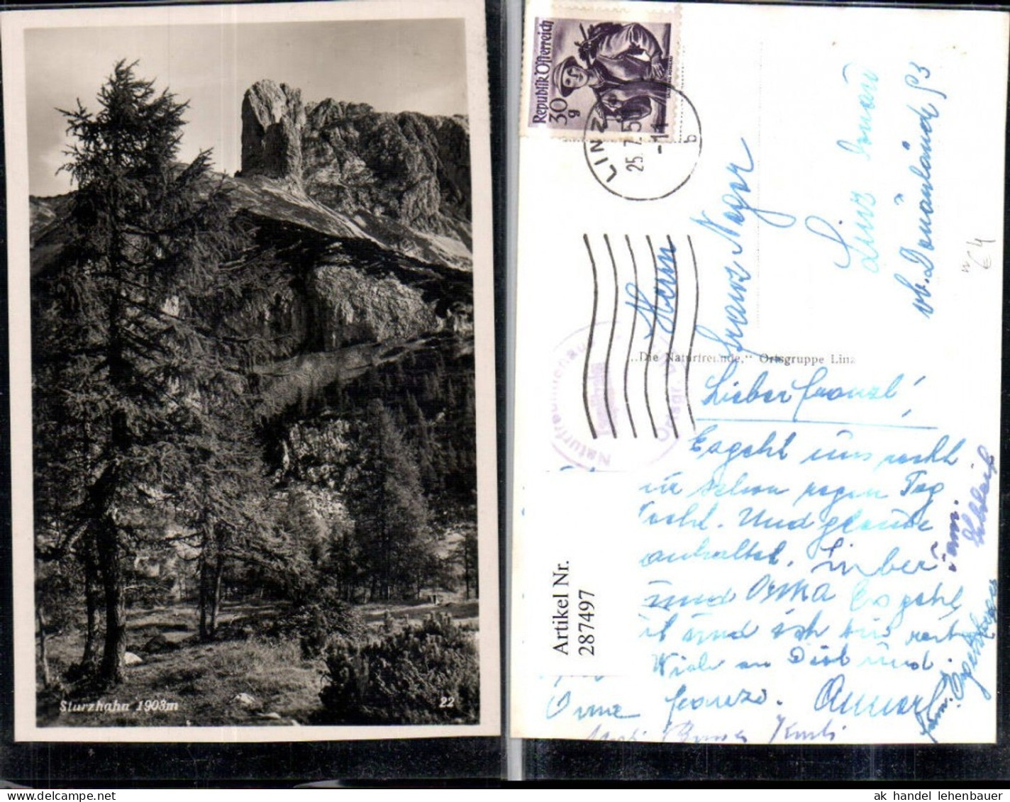 287497,Sturzhahn Bergkulisse b. Tauplitz