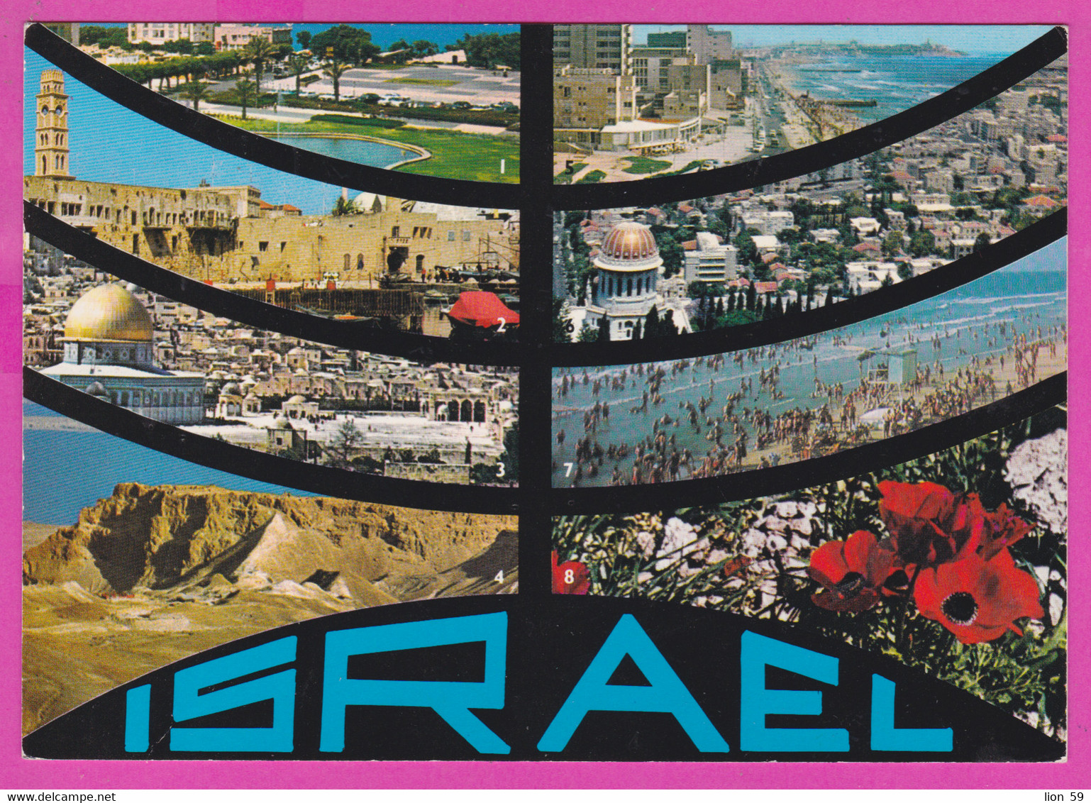 288979 / Israel - Nethanya Acre Jerusalem Masada Tel Aviv Haifa A Beach Anemone Flowers PC Israele