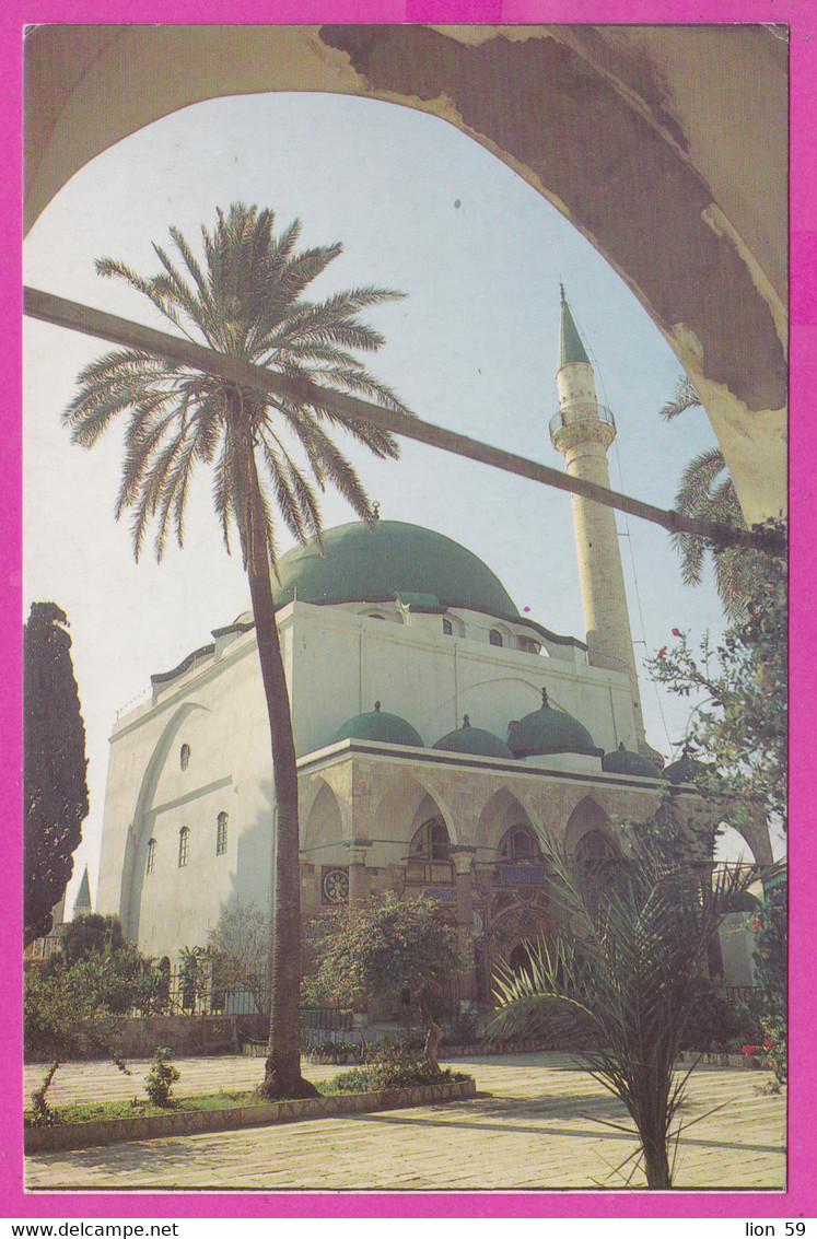 288981 / Israel - Acre - Al-Jazzar Mosque Islam minaret Mosque Mosquee Moschee Palm tree , PC Israele