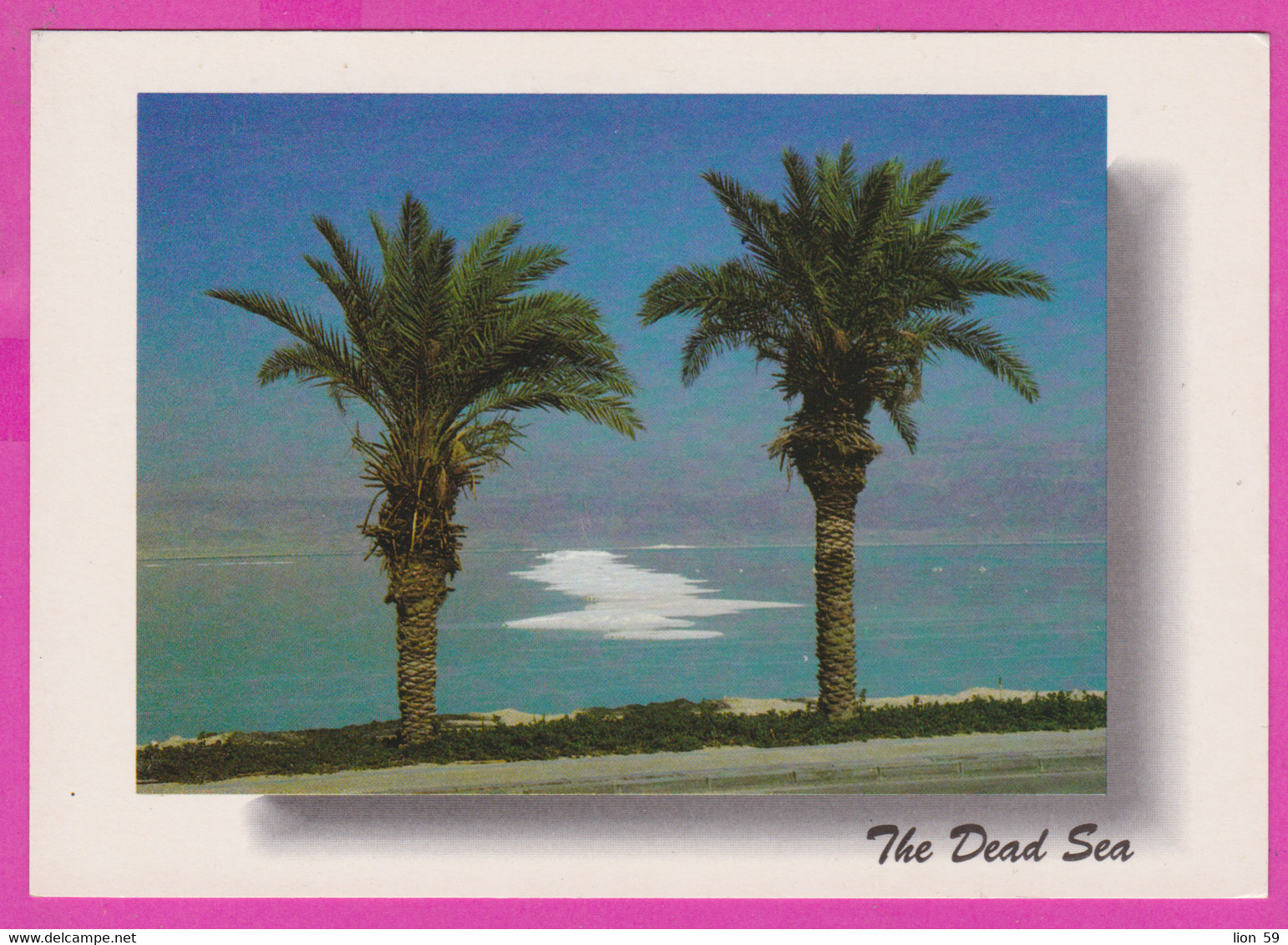 288989 / Israel - The Dead Sea , Palm Nature PC Photography by J. Sahar Israele