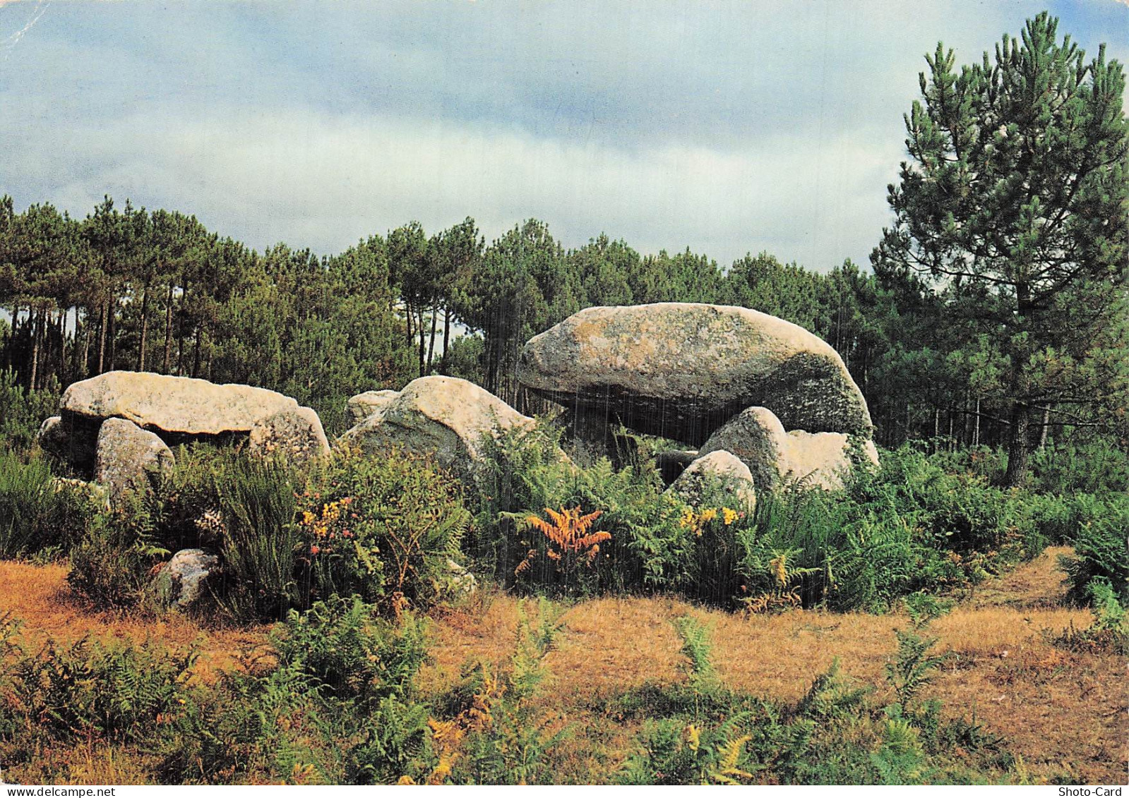 29 CARHAIX PLOUGUER CENTRE DE PECHE ET DE PROMENADES