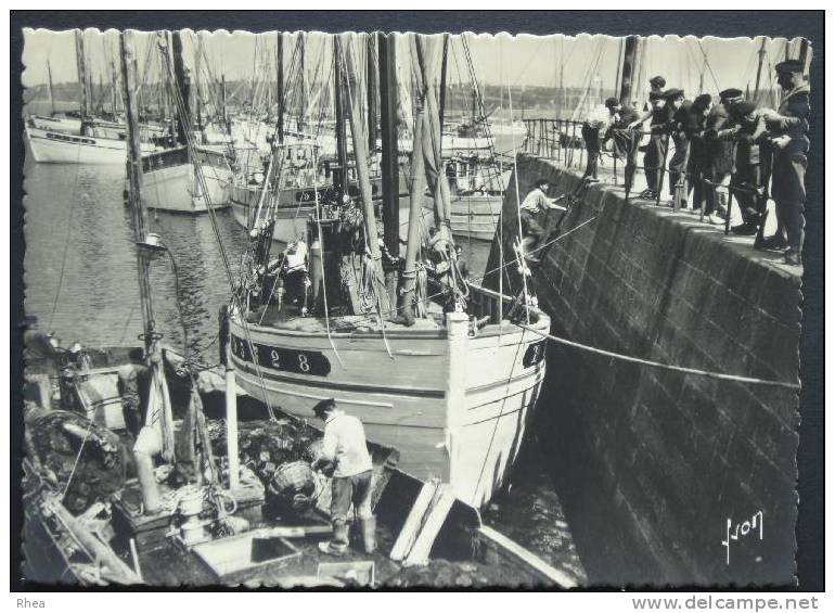 29 Douarnenez    D29D  K29046K  C29046C RH503091