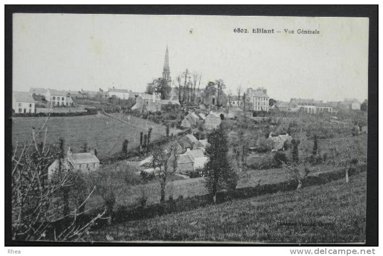 29 Elliant    D29D  K29241K  C29049C RH503080