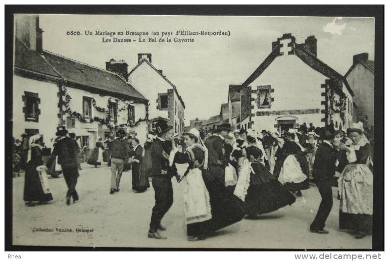 29 Elliant    D29D  K29241K  C29049C RH503083