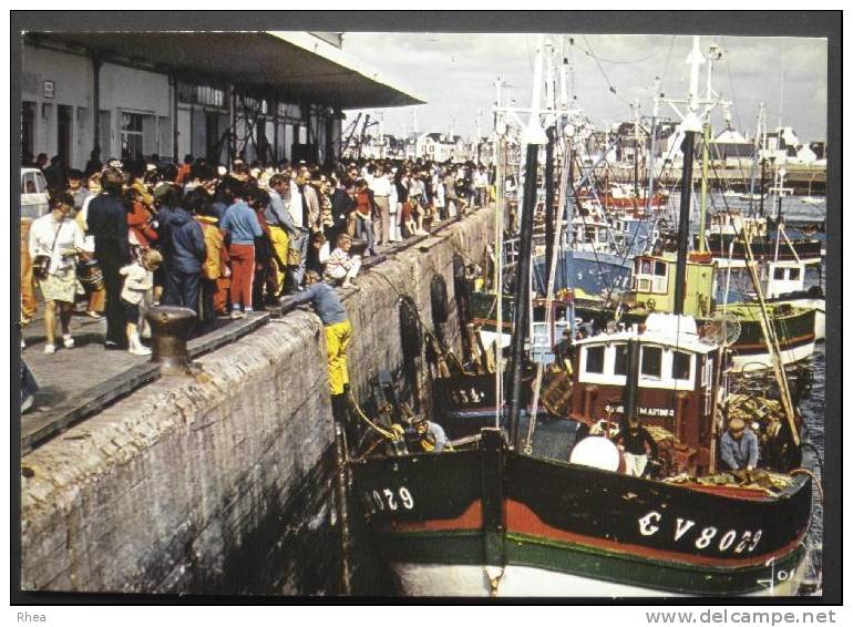 29 Guilvinec bateau peche port    D29D  K29072K  C29072C RH054337