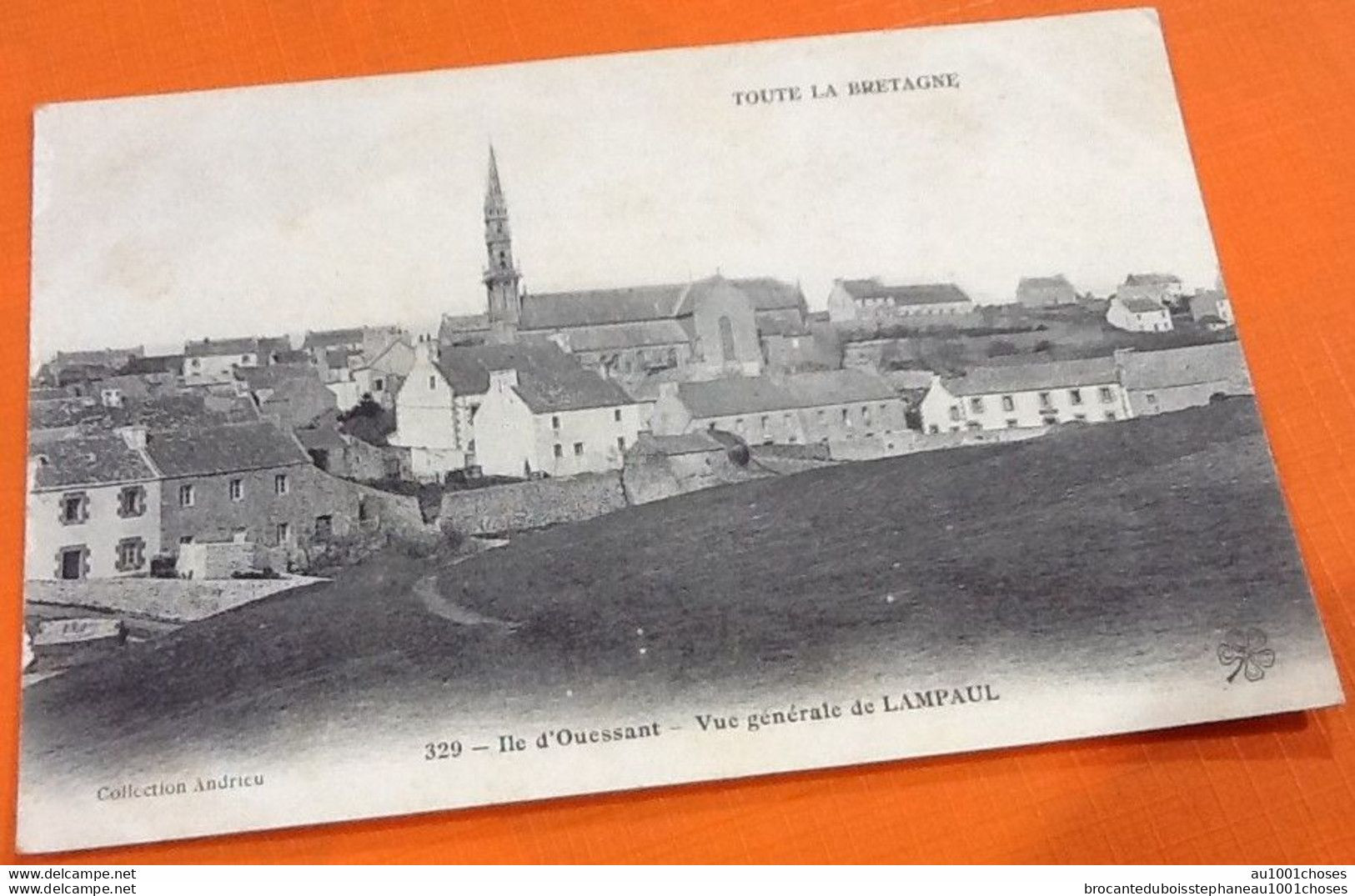 29  Ile d' Ouessant  Vue générale de Lampaul