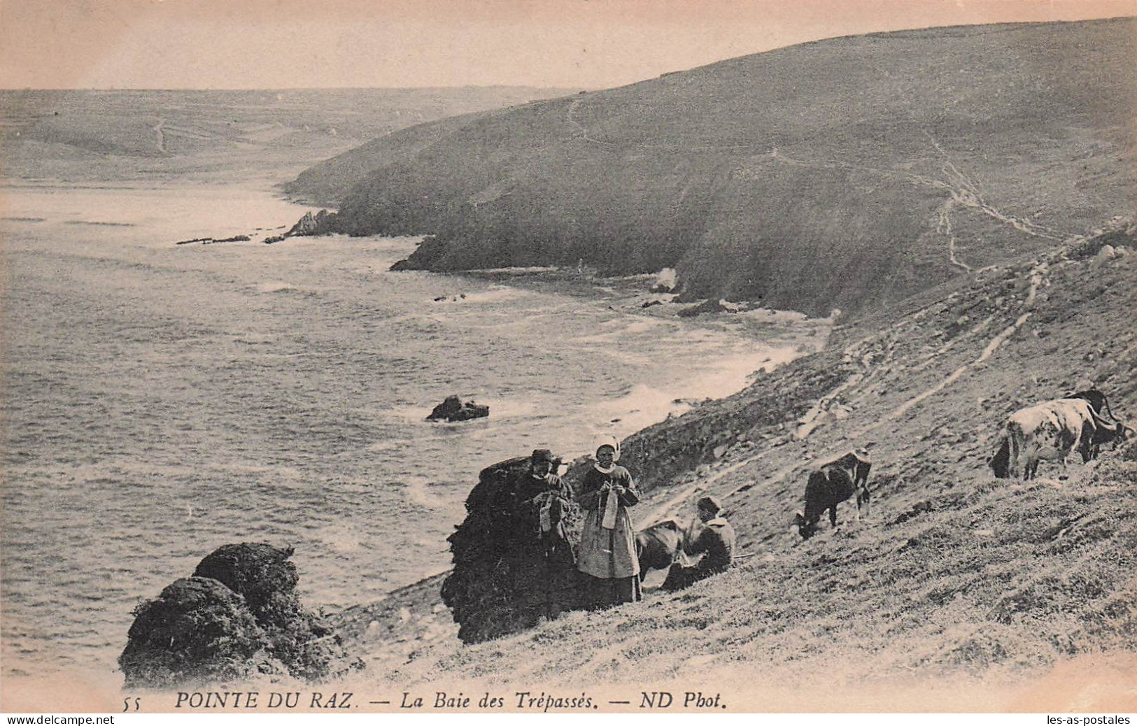 29 PLOGOFF POINTE DU RAZ