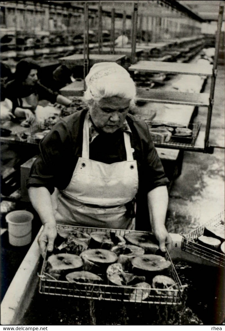 29 - PLOUHINEC - lavage du thon - conserverie - 1977