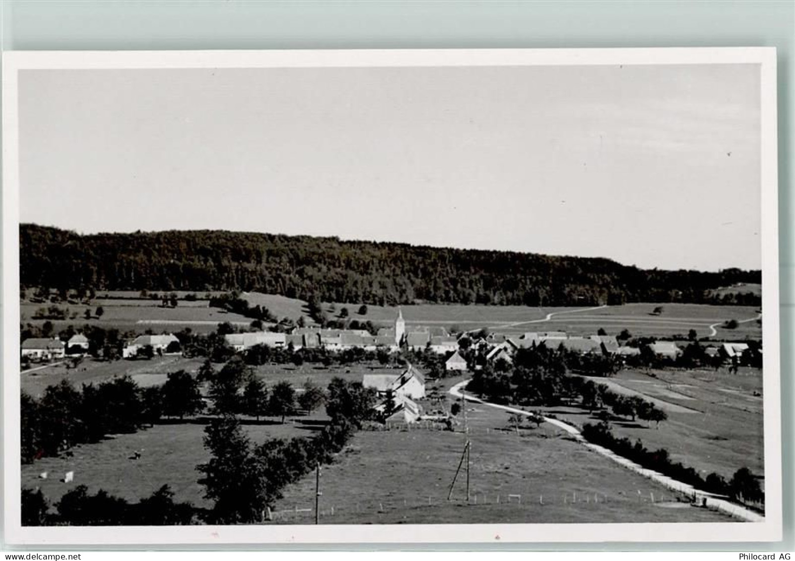 2914 Damvant Foto AK Ort handschriftlich - 13149363