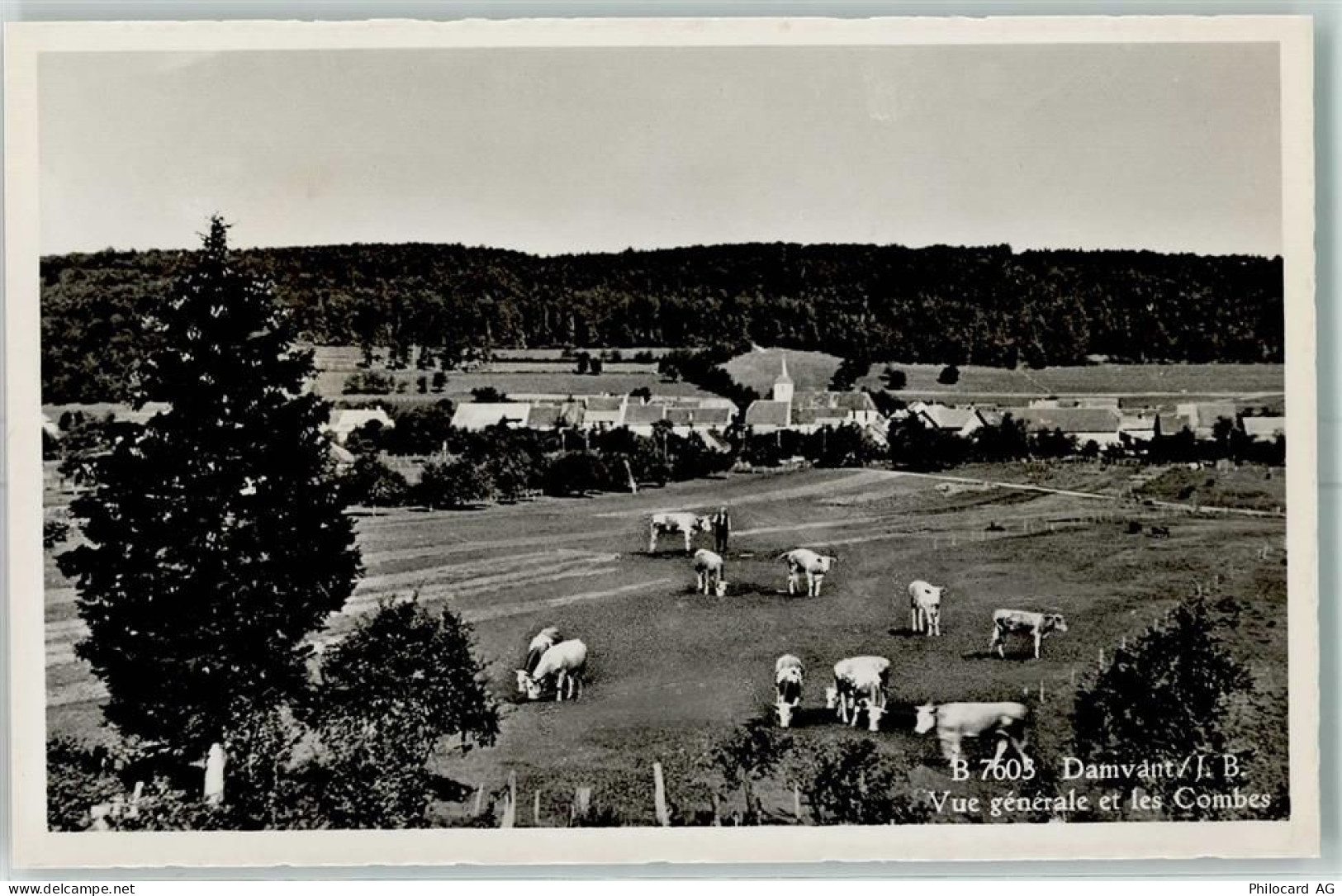2914 Damvant - Vue générale et les Combes Kühe - 13149228