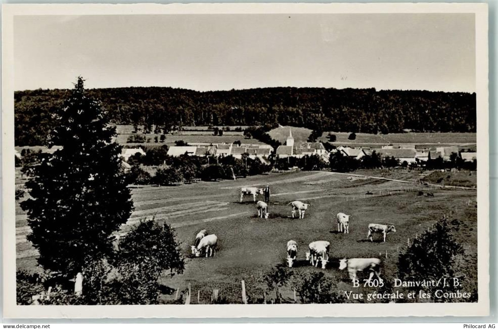 2914 Damvant - Vue générale et les Combes Kühe - 13149232