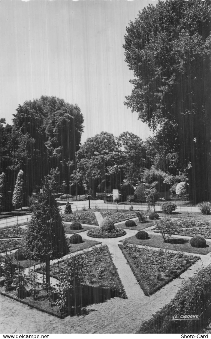 3 VICHY DANS LES GRANDS PARCS JARDINS A LA FRANCAISE