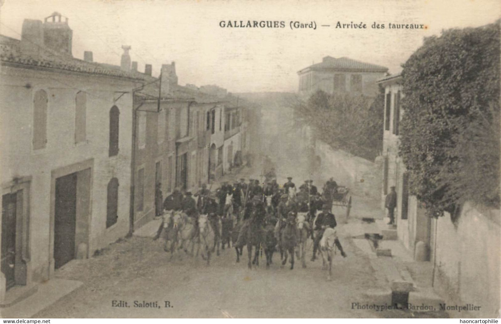 30 Gallargues arrivée des taureaux
