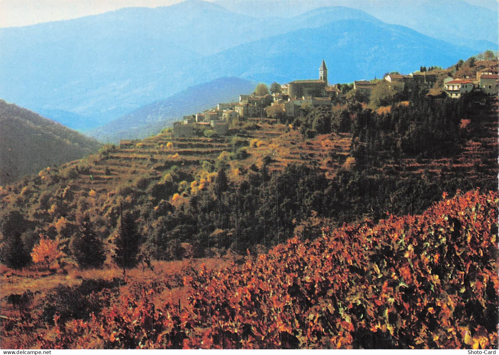 30 NOTRE DAME DE LA ROUVIERE MASSIF DE L AIGOUAL