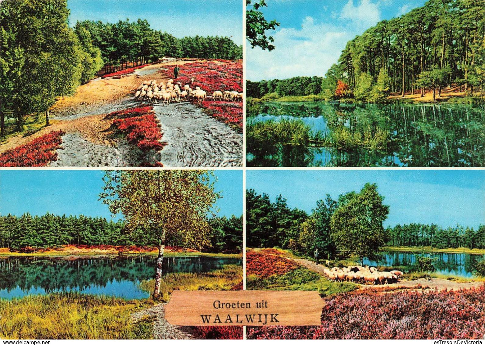 [-30%] PAYS-BAS - Groeten uit Waalwijk - mutlivues - Carte Postale