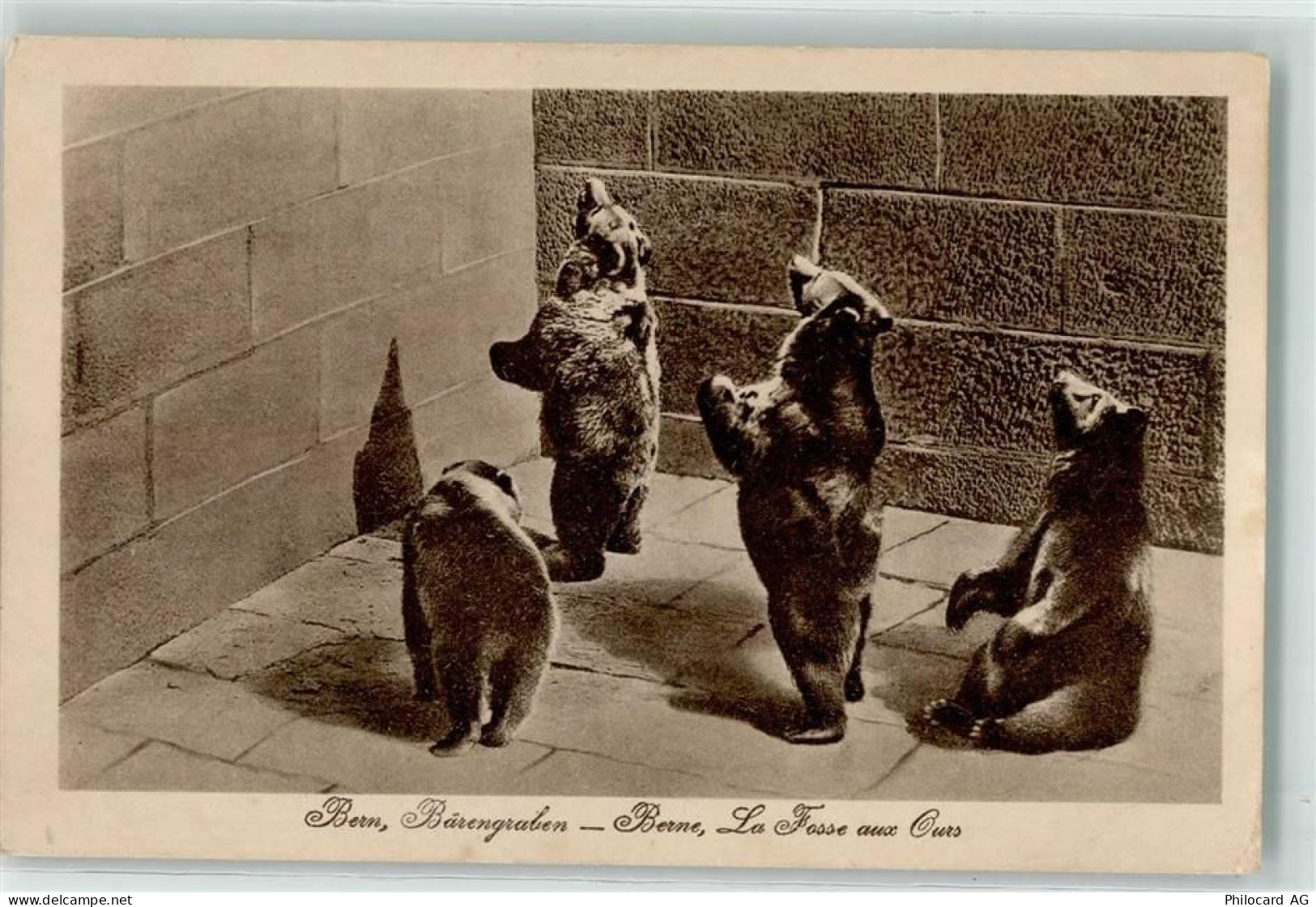 3000 Bern Berne - 10618090