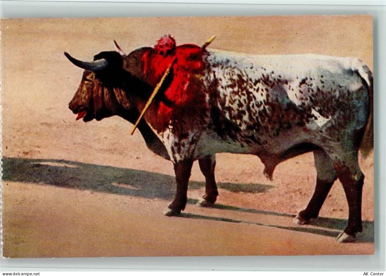 30000 Nimes - Stierkampfarena getroffener Stier - 11053146