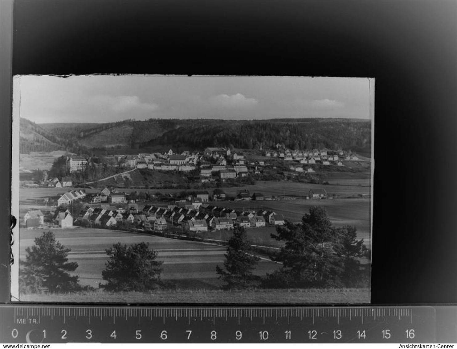 30010484 - Muehlheim an der Donau