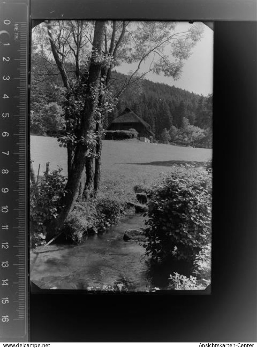 30011340 - Bad Teinach