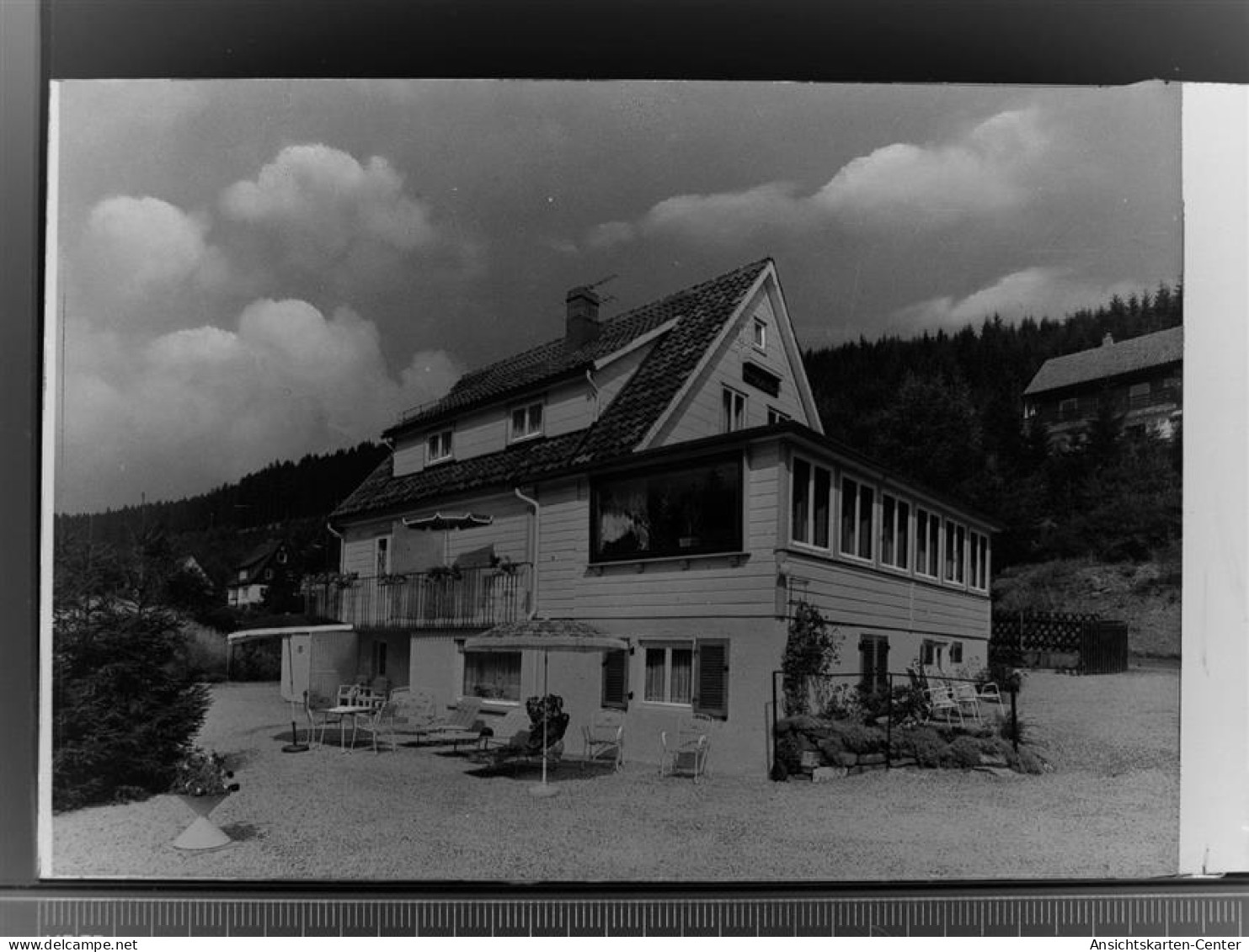 30012033 - Wildemann