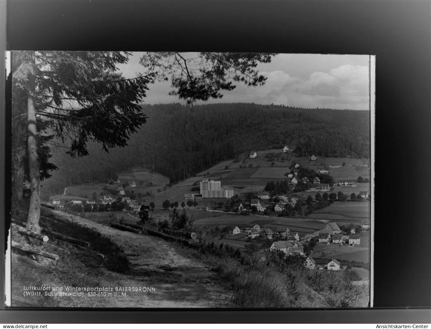 30016217 - Baiersbronn