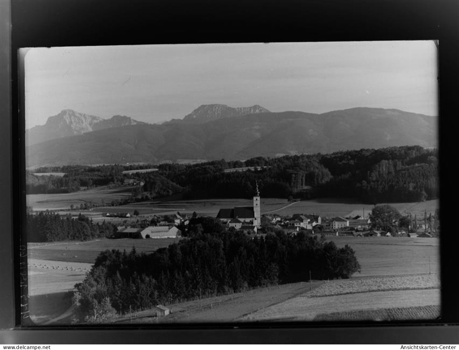 30020959 - Waging a. See