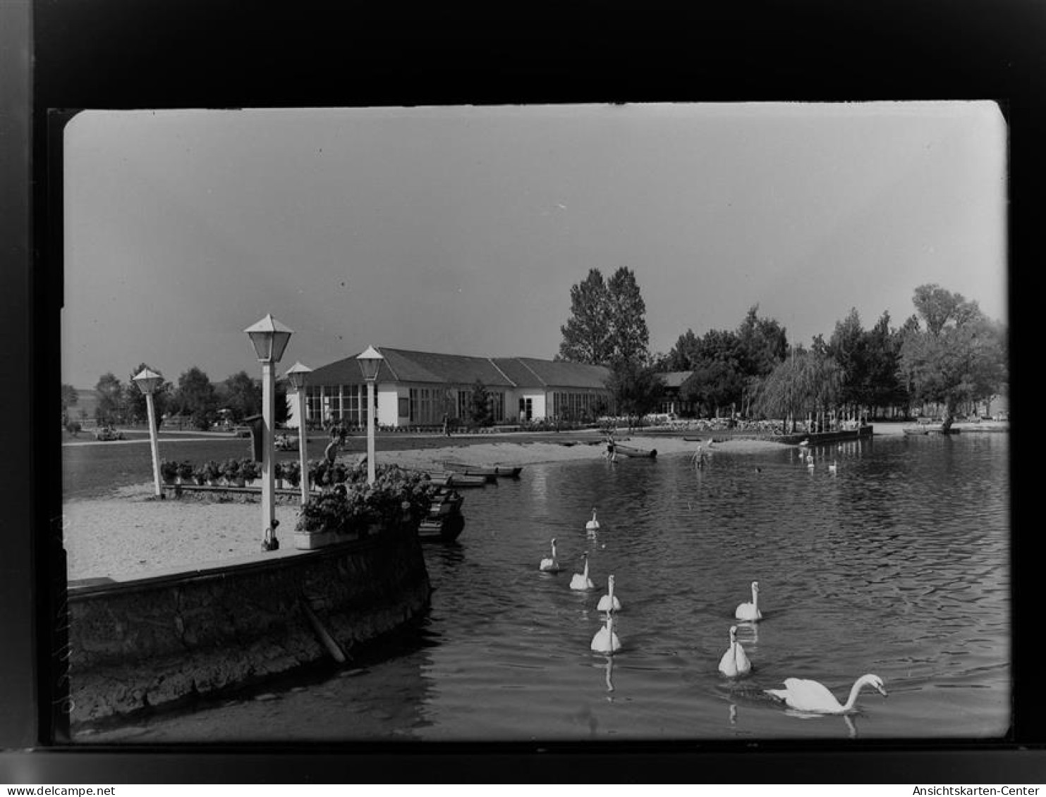 30020976 - Waging a. See