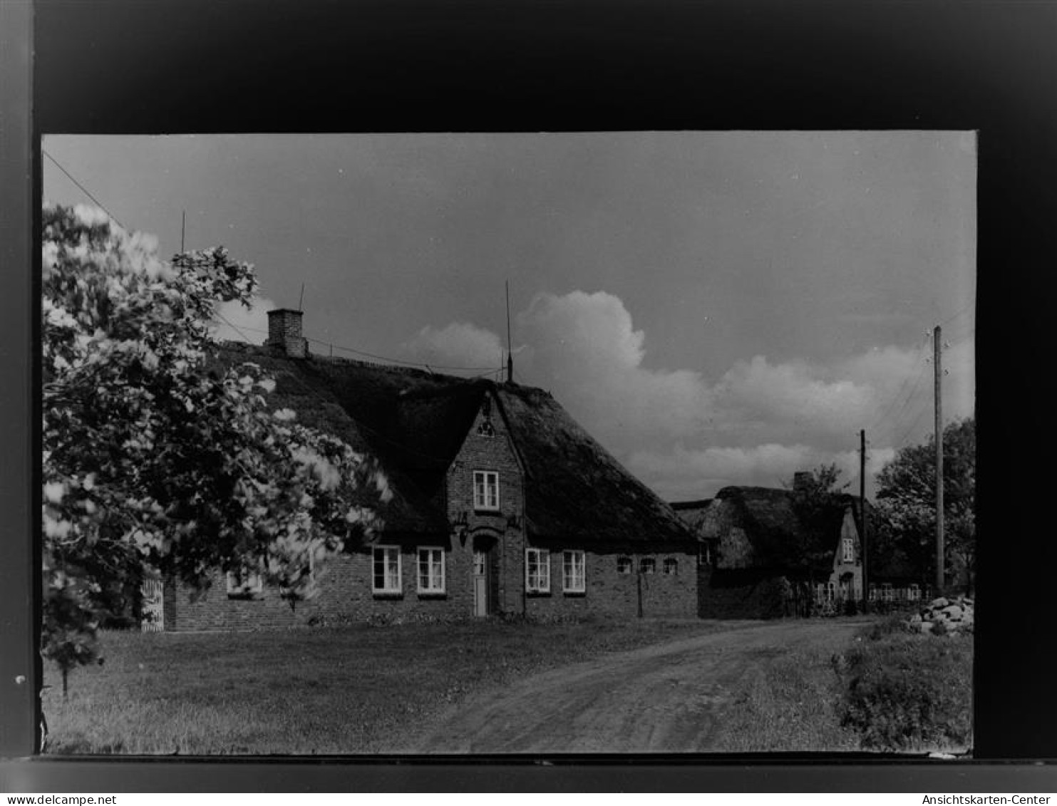 30021205 - Morsum , Sylt