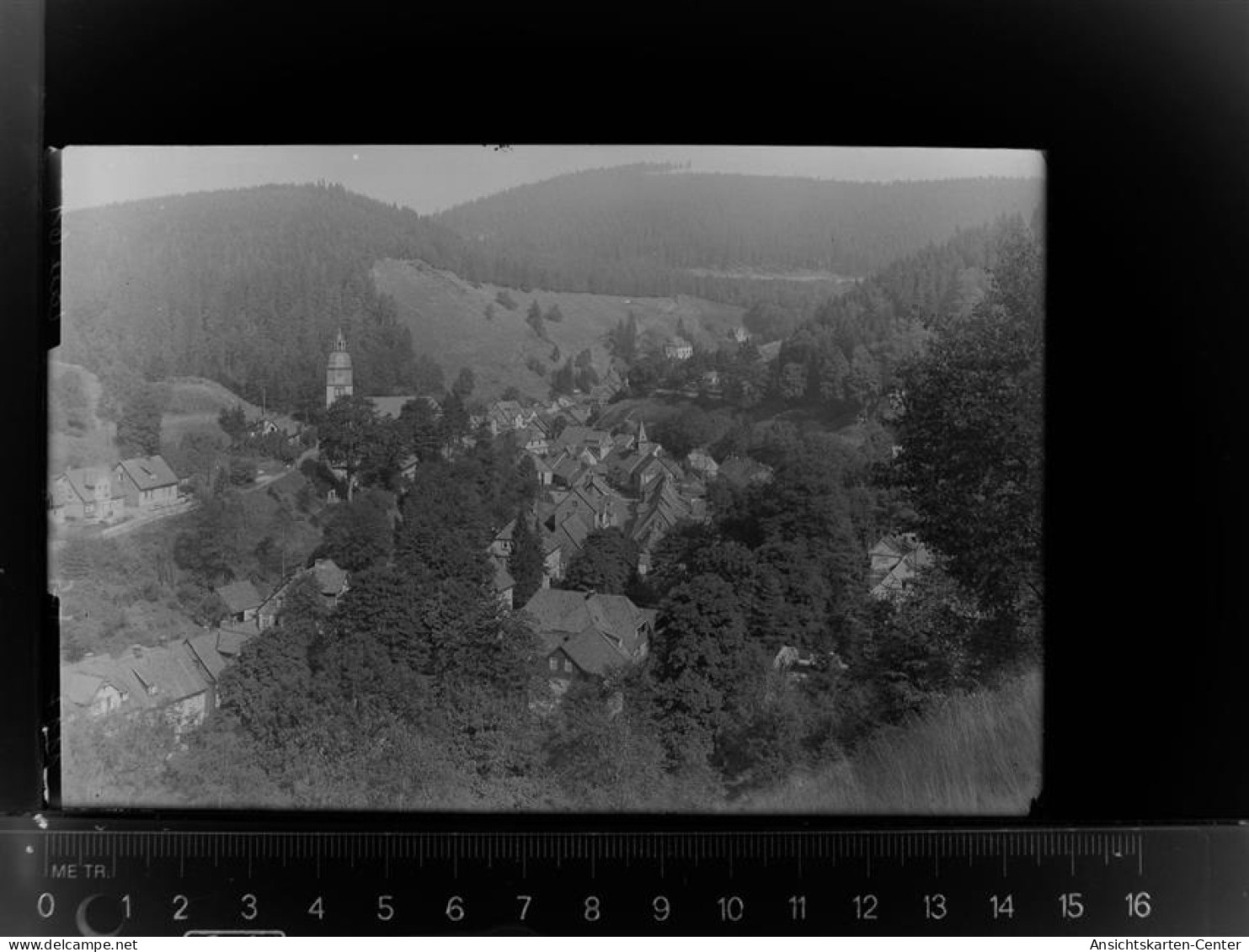 30023233 - Wildemann