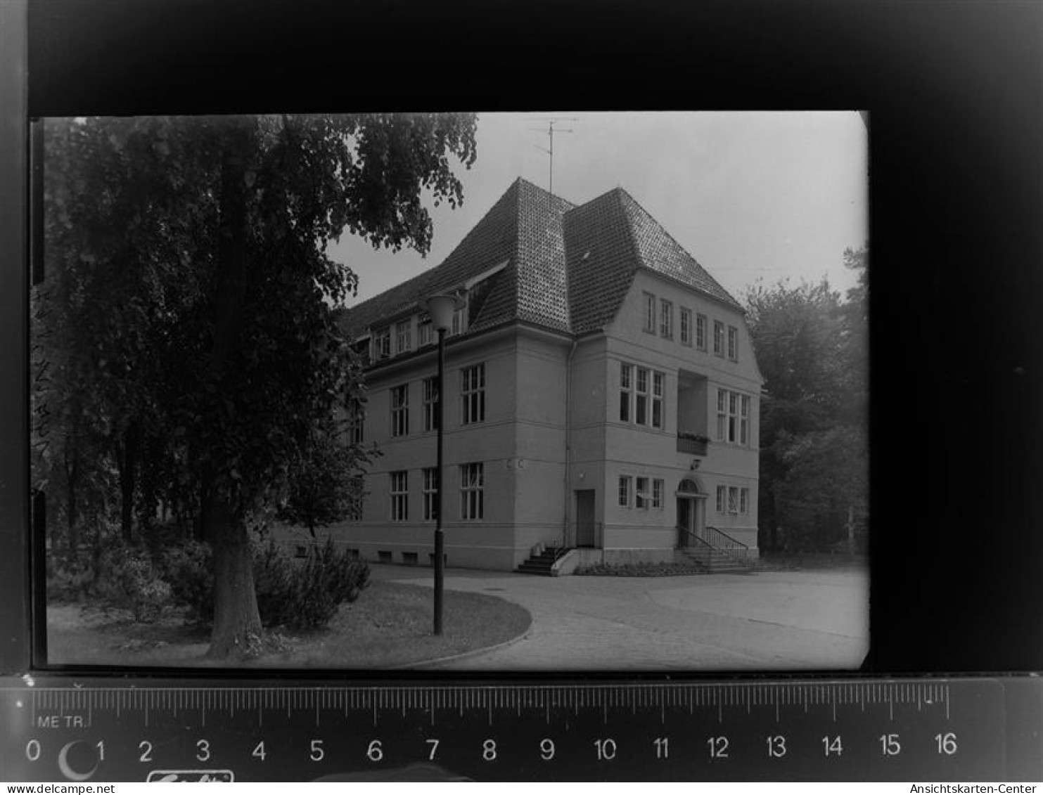 30023281 - Wildeshausen