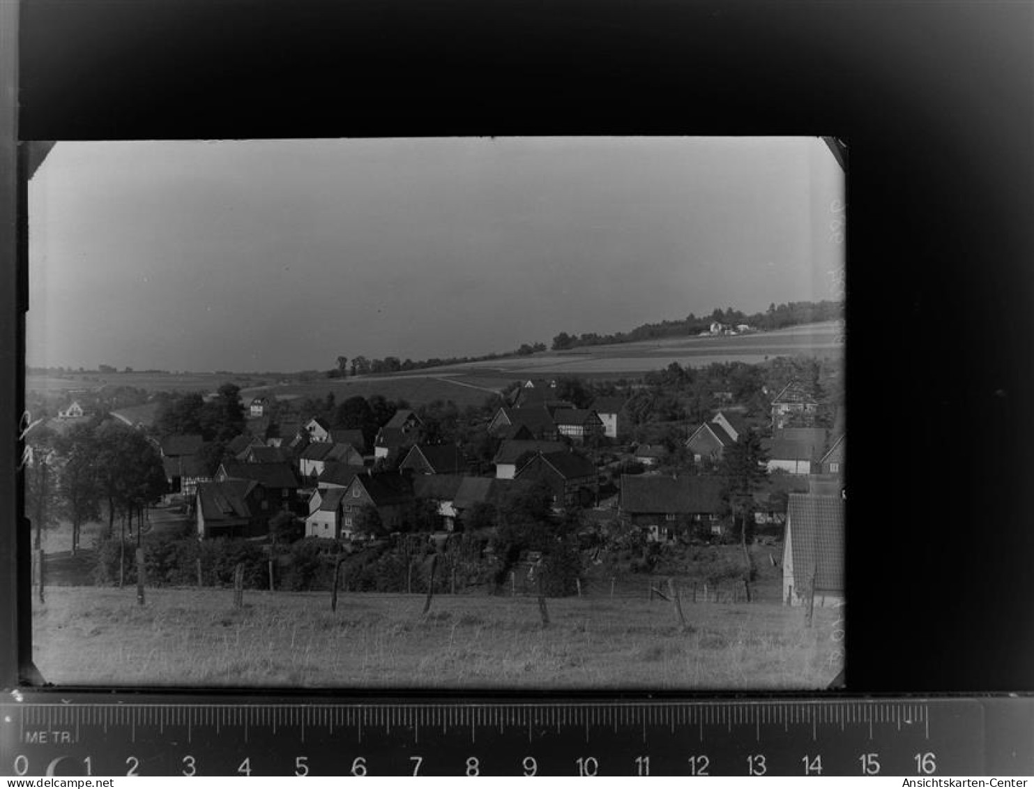 30023356 - Waldbroel