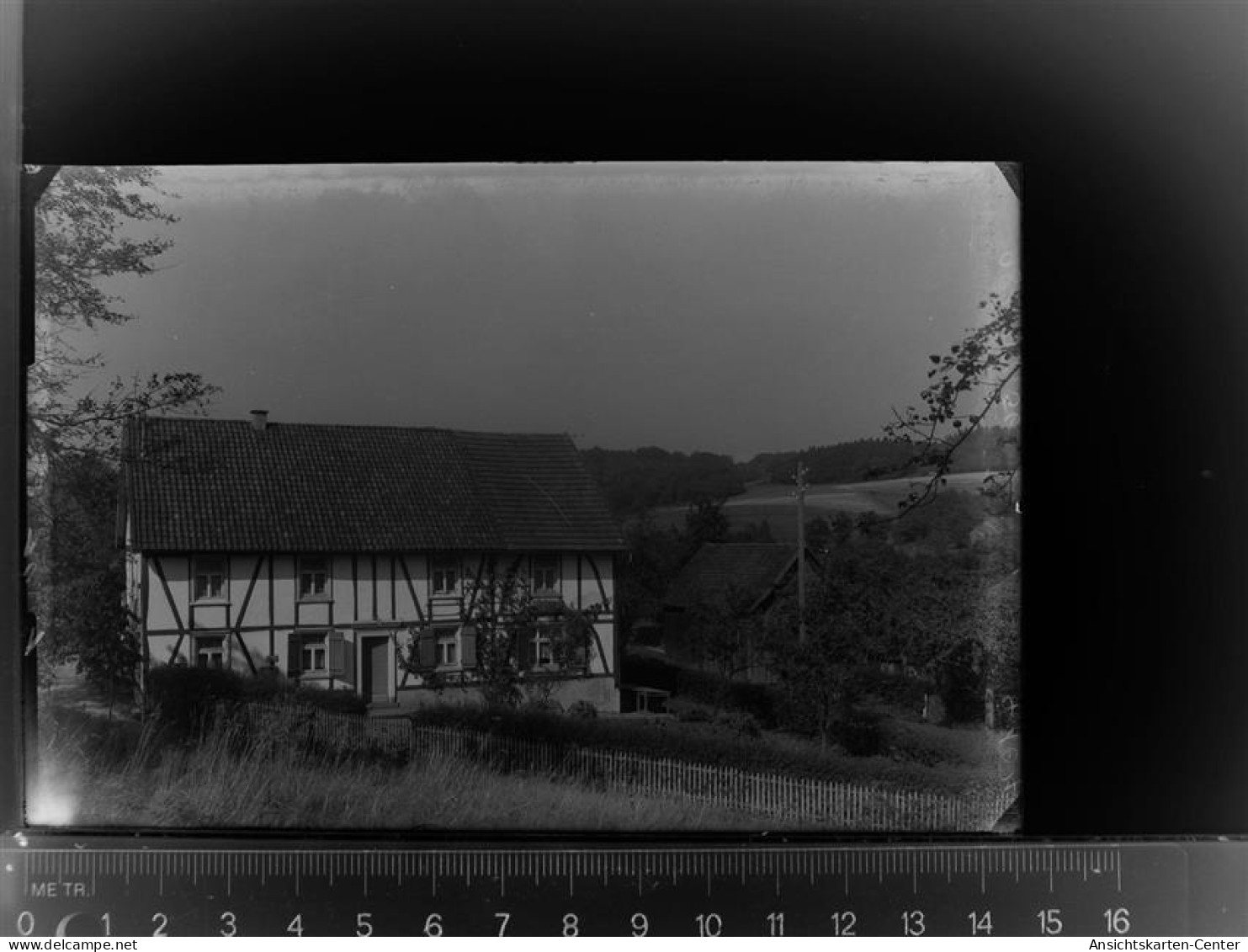 30023357 - Waldbroel