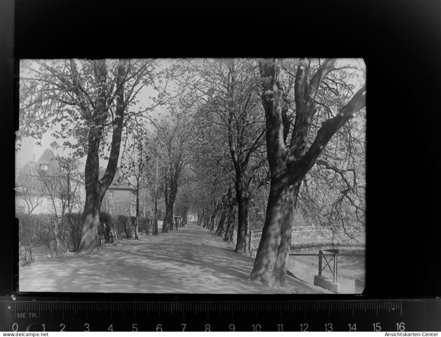 30025204 - Luedinghausen