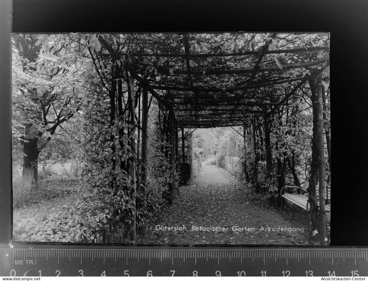 30027422 - Guetersloh