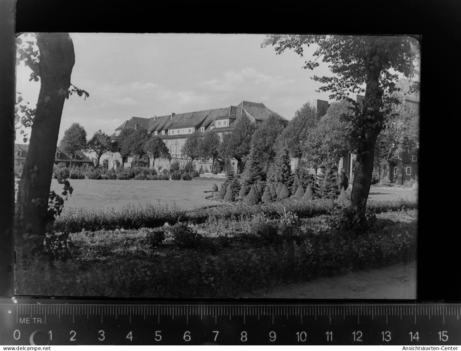 30029330 - Heide , Holst