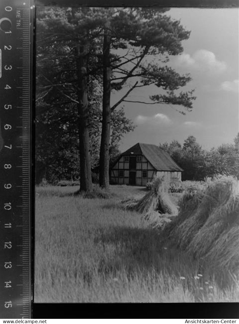 30030670 - Halle (Westf.)