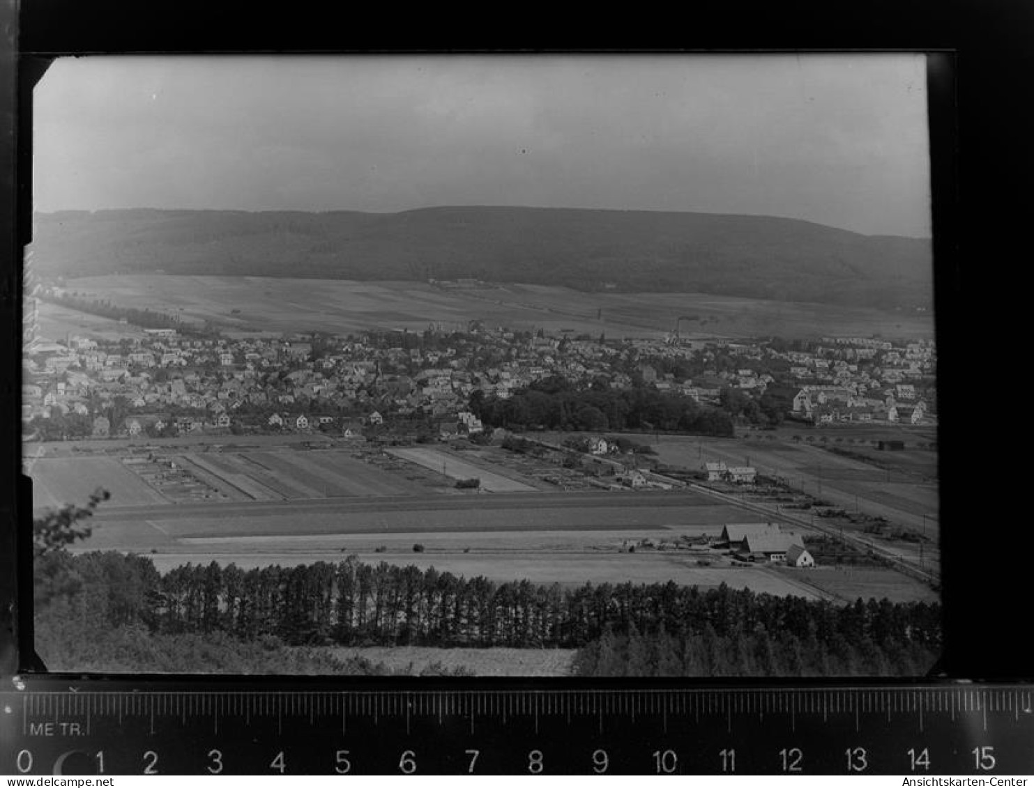 30030758 - Springe , Deister