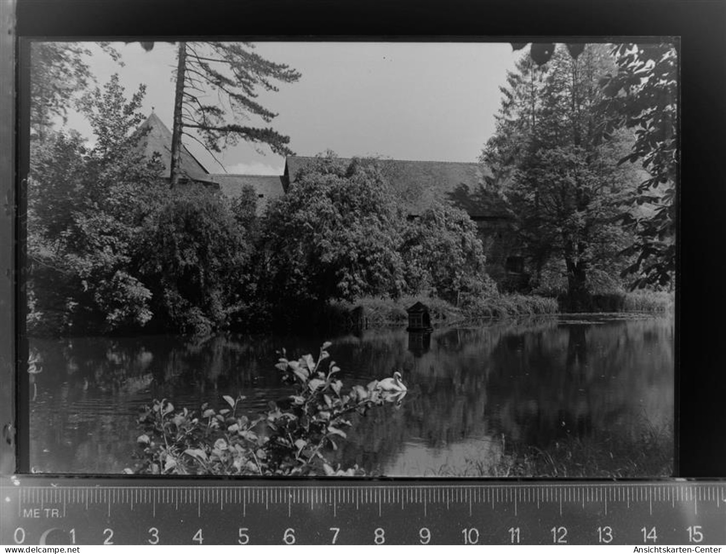 30031095 - Lich , Hess