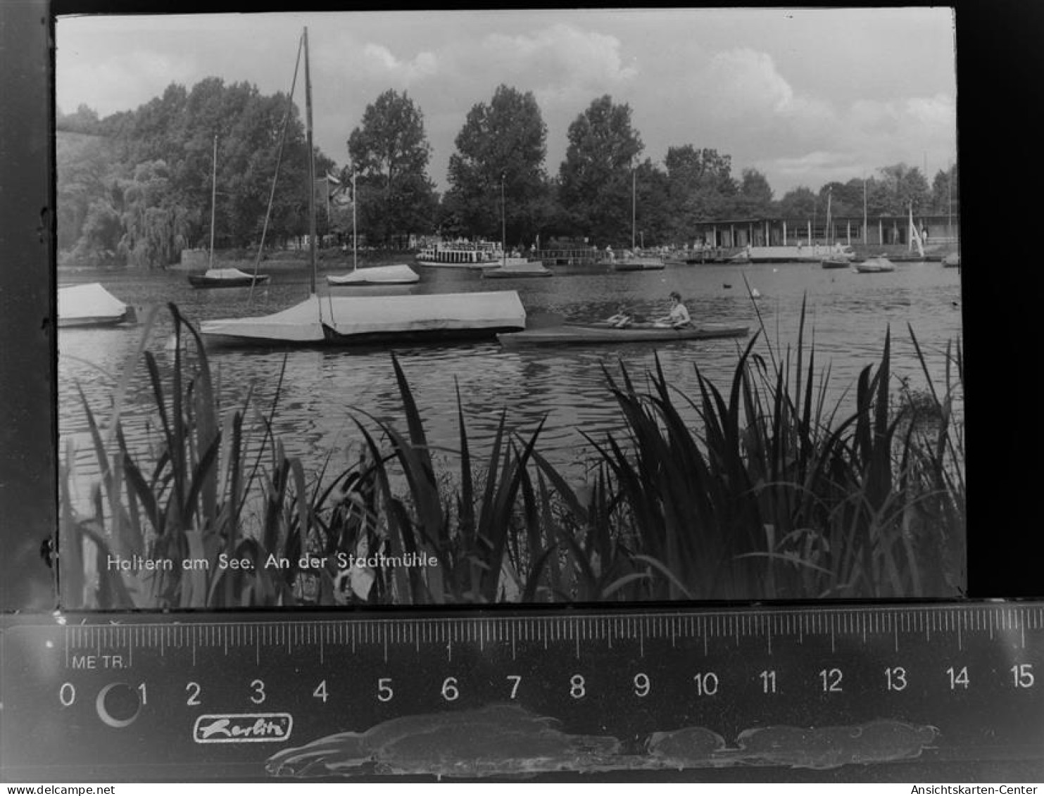 30032009 - Haltern , Westf