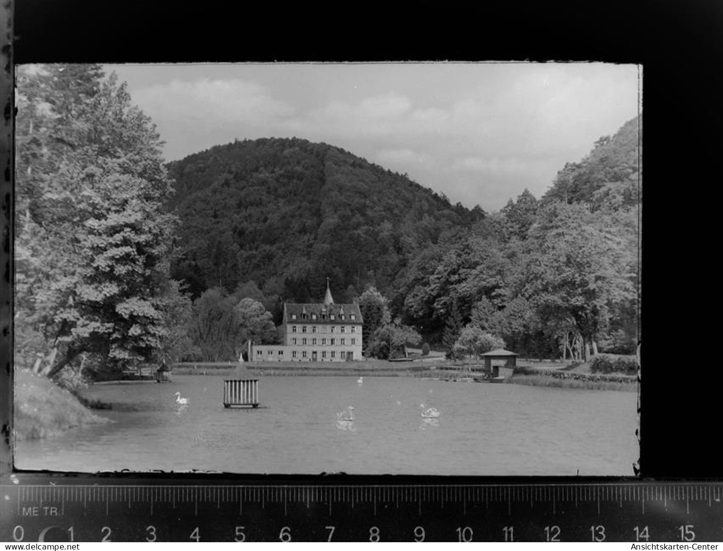 30034578 - Bad Bergzabern