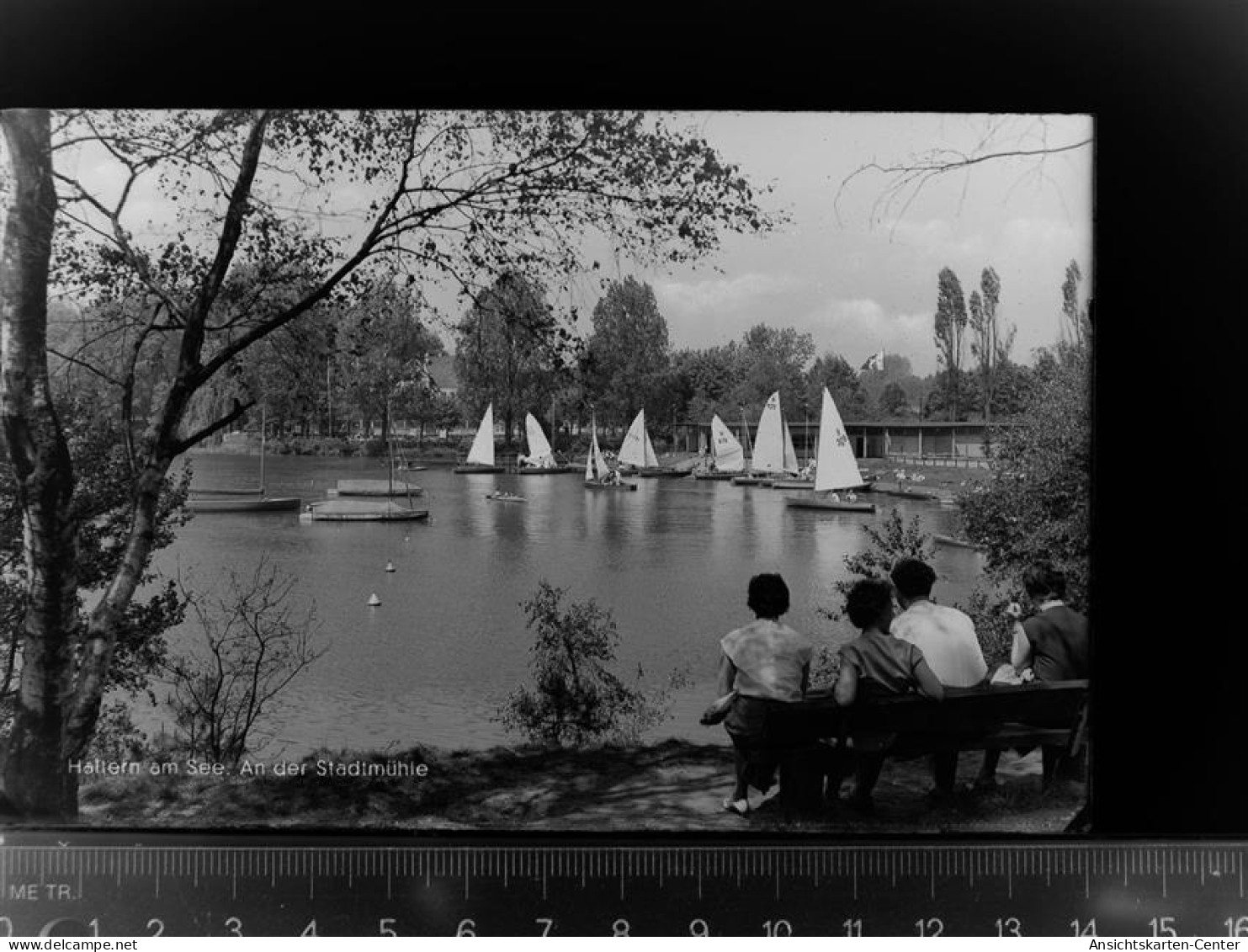 30039165 - Haltern , Westf