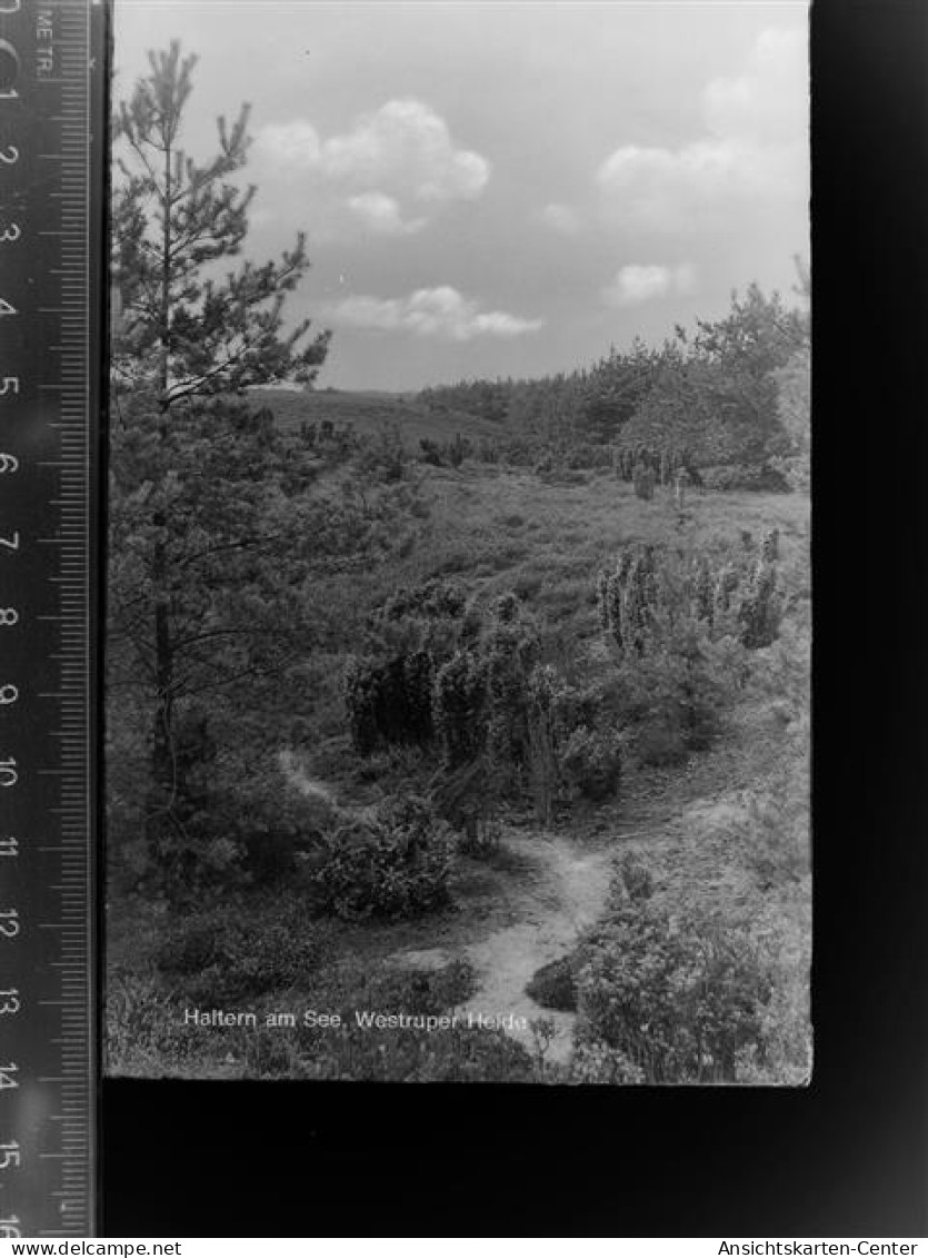 30039170 - Haltern , Westf