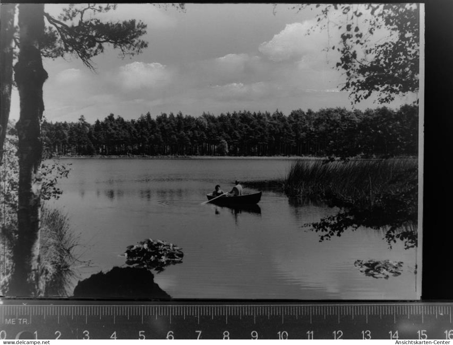 30039554 - Rotenburg (Wuemme)